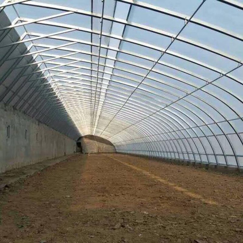 连栋温室造价揭秘:打造现代农业高效生产模式