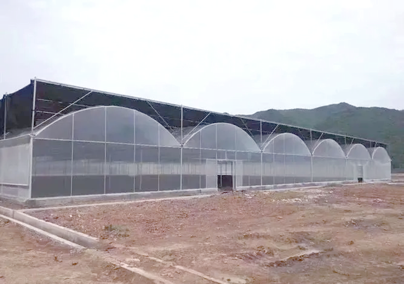 探索现代农业新天地:温室大棚建设前景分析