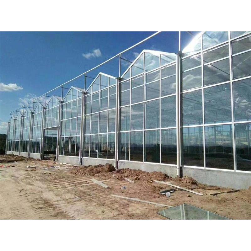 现代农业技术：温室大棚建设的重要性