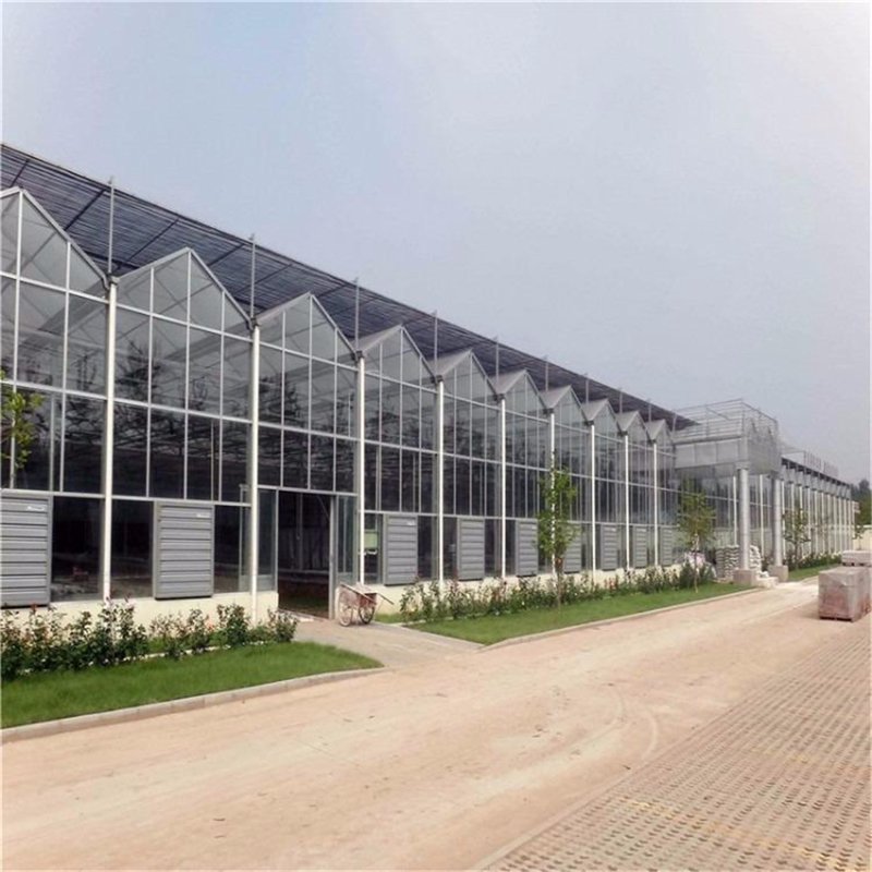 温室大棚建设:现代农业的绿色引擎